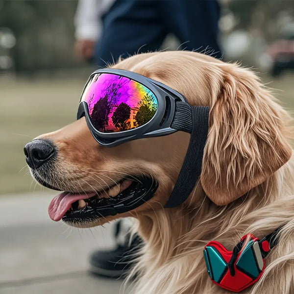 Lentes de Sol UV Protection