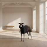 Impermeable Premium para Perros