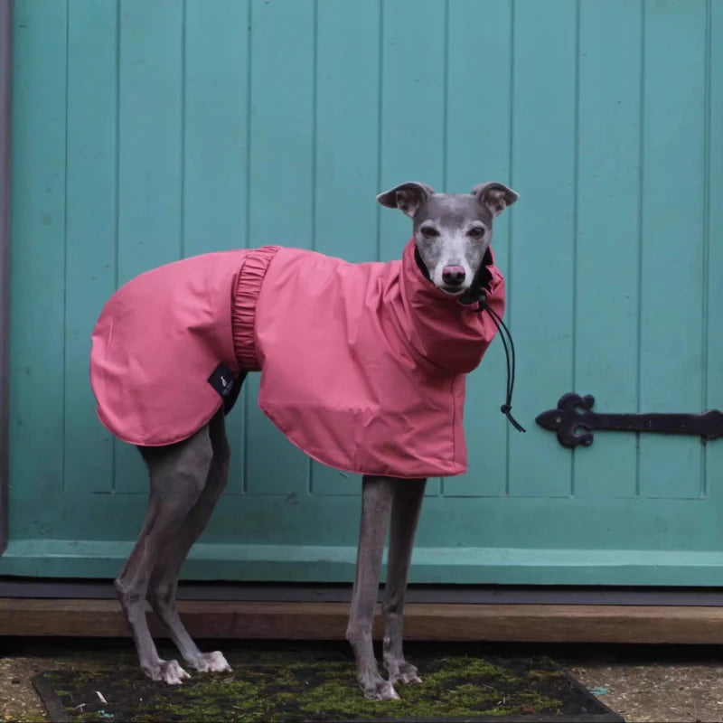 Impermeable Premium para Perros