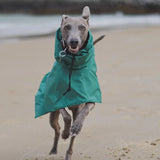 Impermeable Premium para Perros