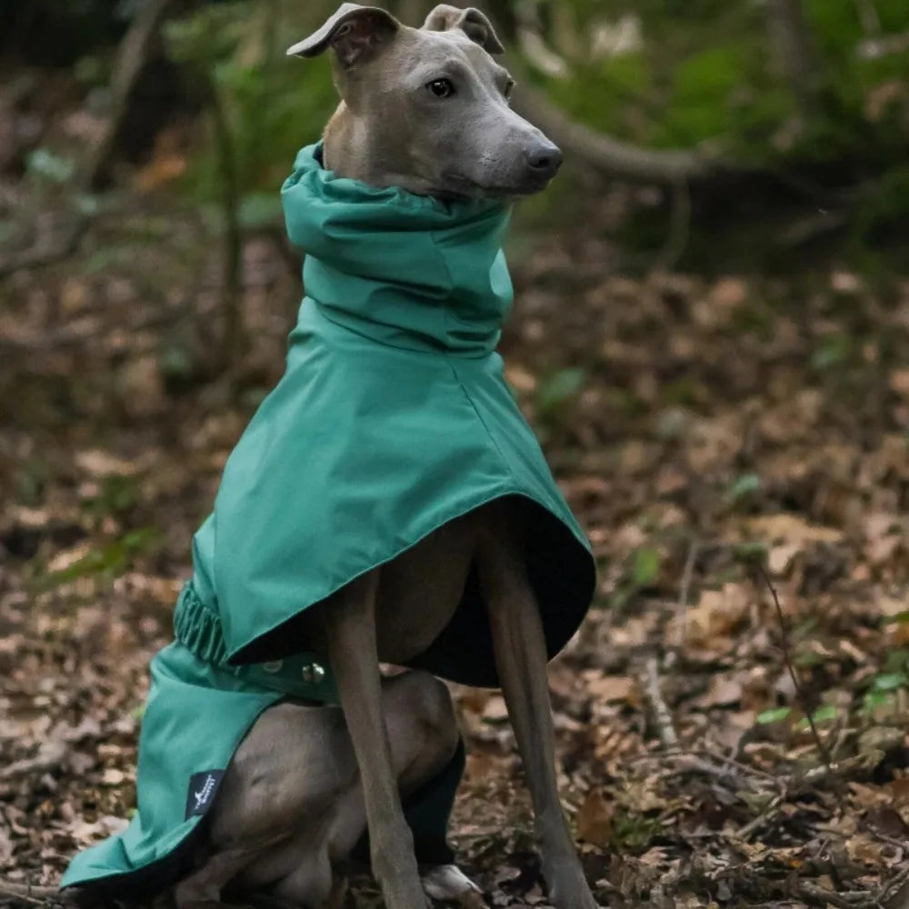 Impermeable Premium para Perros
