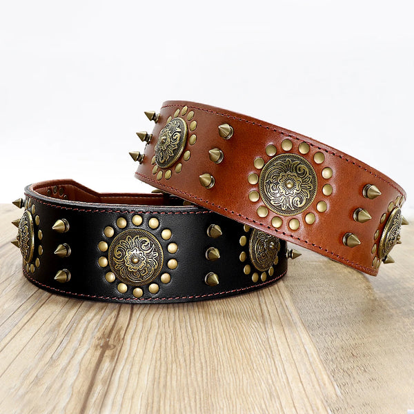 Collar Premium de Cuero
