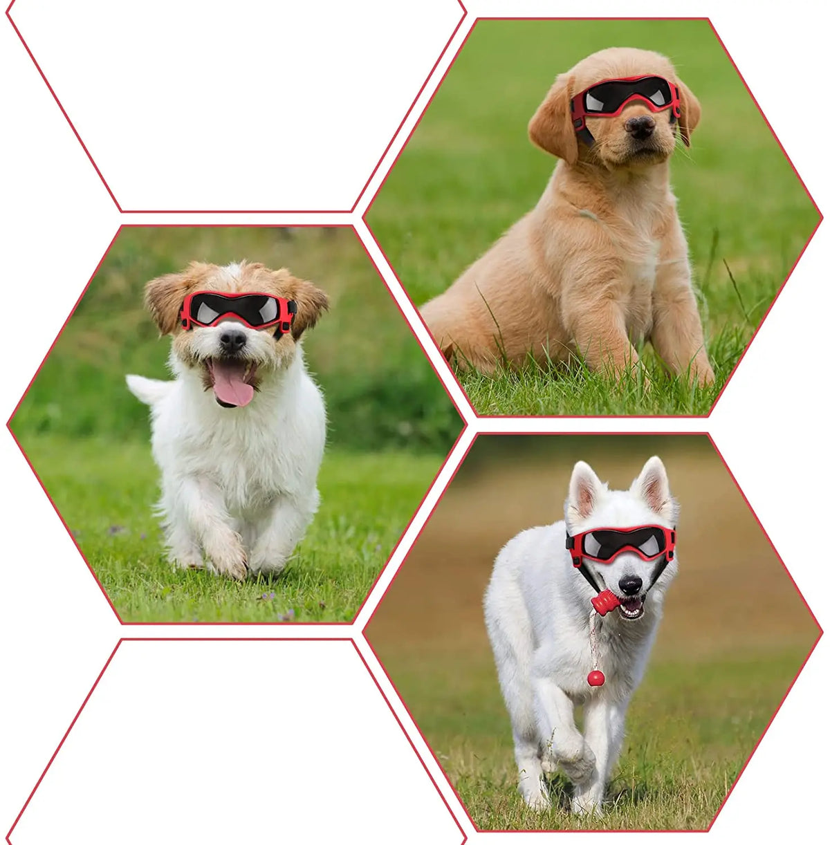 Gafas Protectoras UV para Perros y Gatos