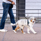 Cuerda Reflectante para Perros – Alta Resistencia