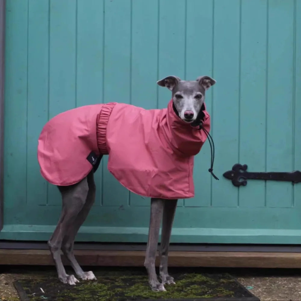 Impermeable Premium para Perros