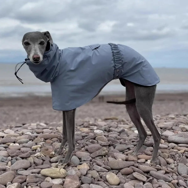Impermeable Premium para Perros